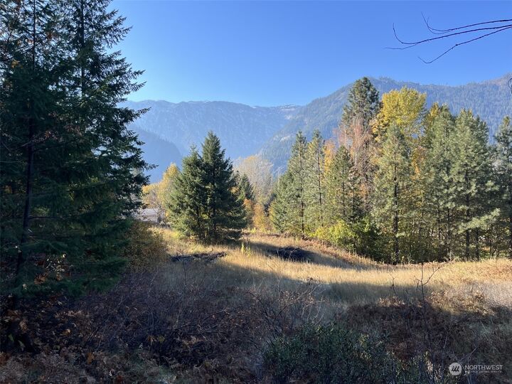 1  Embroden Street  Leavenworth WA 98826 photo