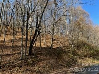 Property Photo: 00 Tawodi Trail 13 NC 28751