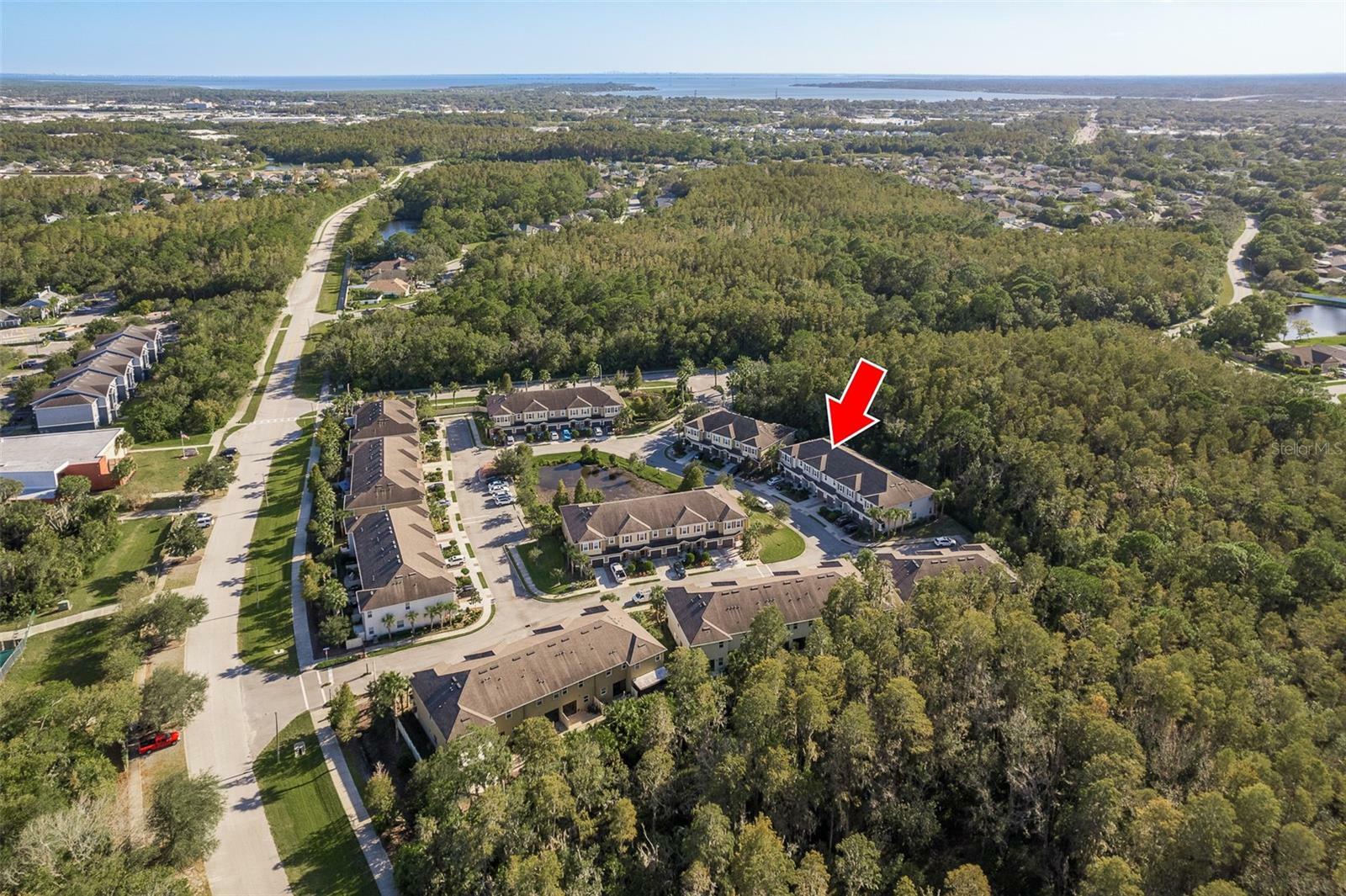 Property Photo: 806 Merlot Court FL 34677