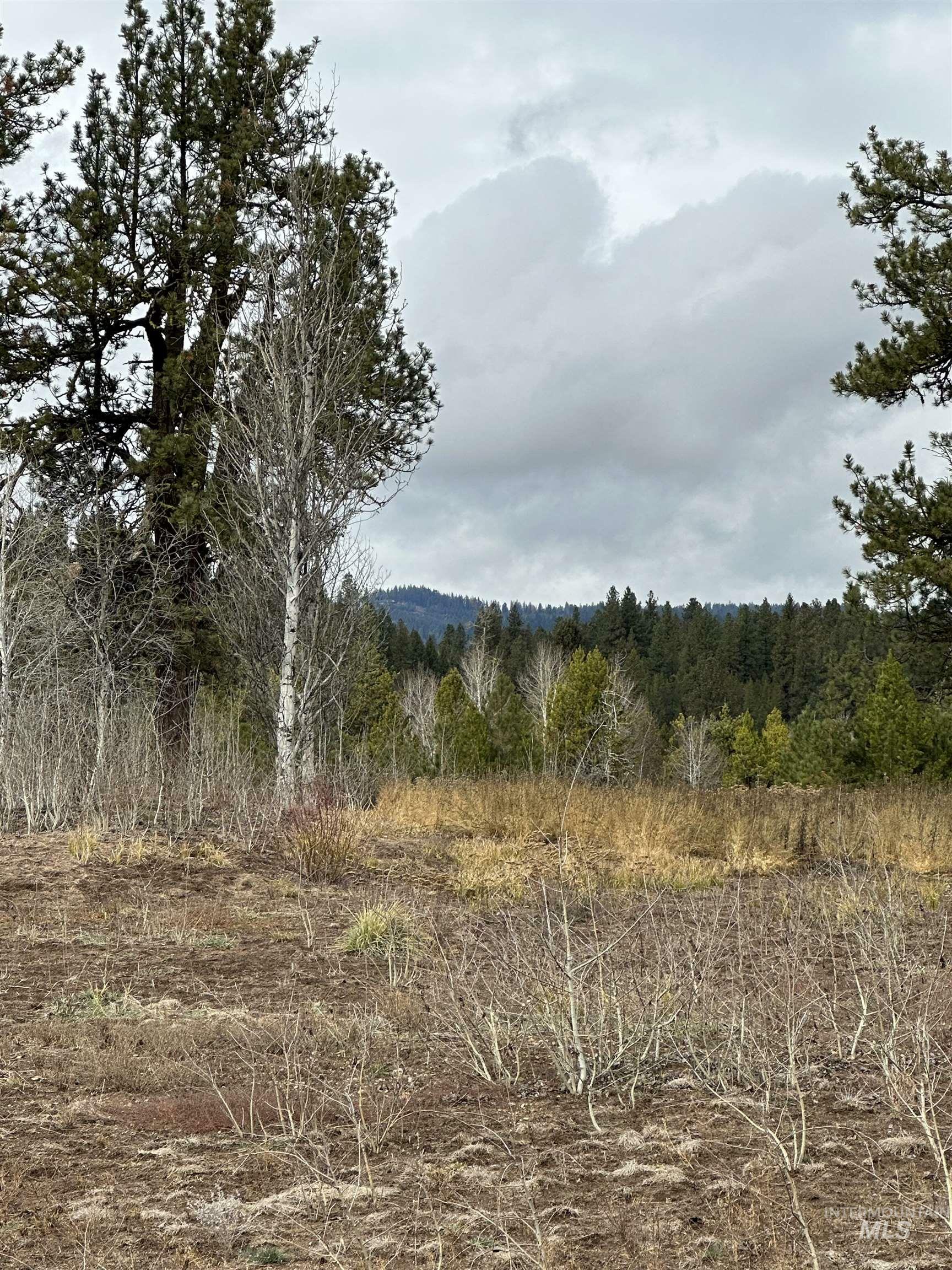 Property Photo: 180 River Ranch Road ID 83638