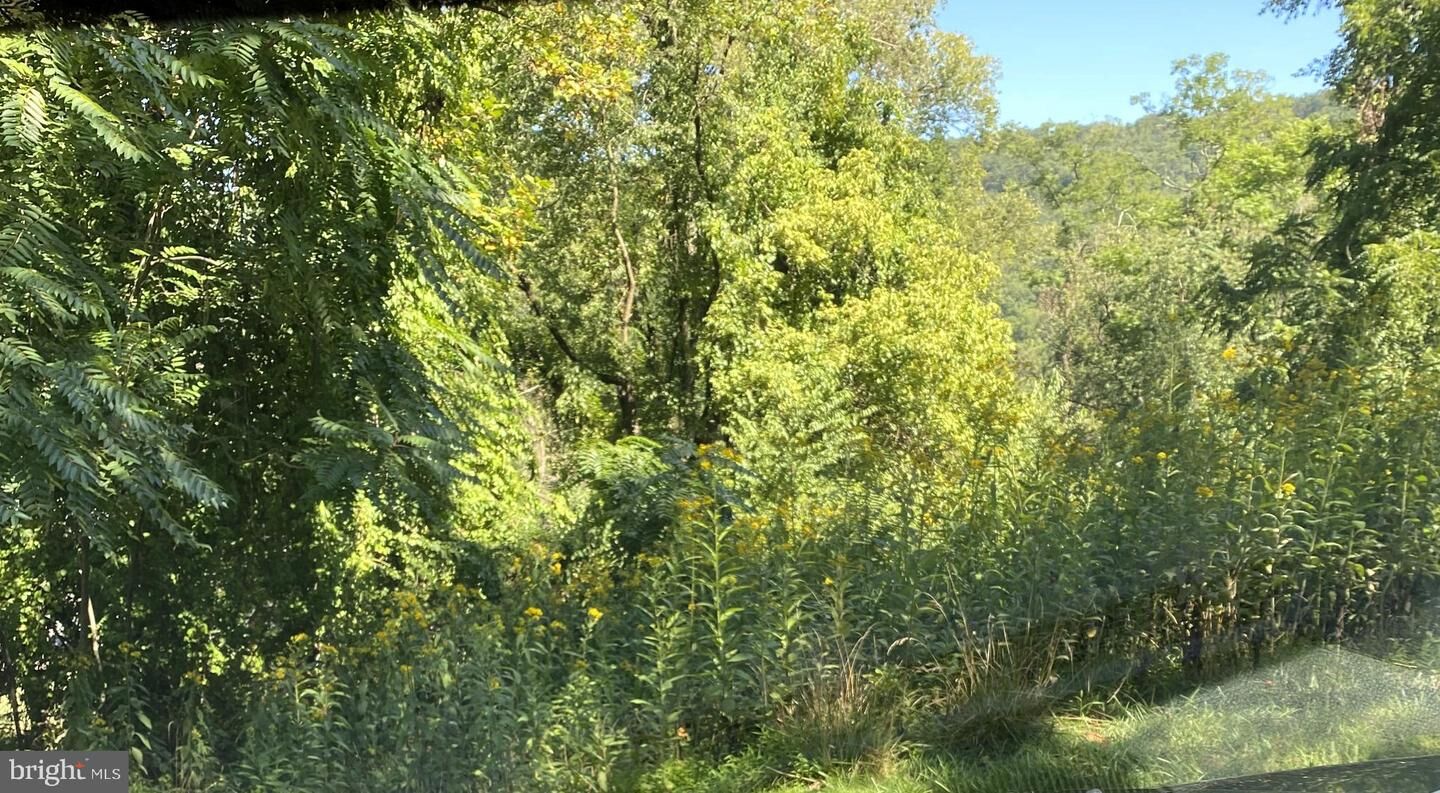 Property Photo: Third-Renroy Drive MD 21502