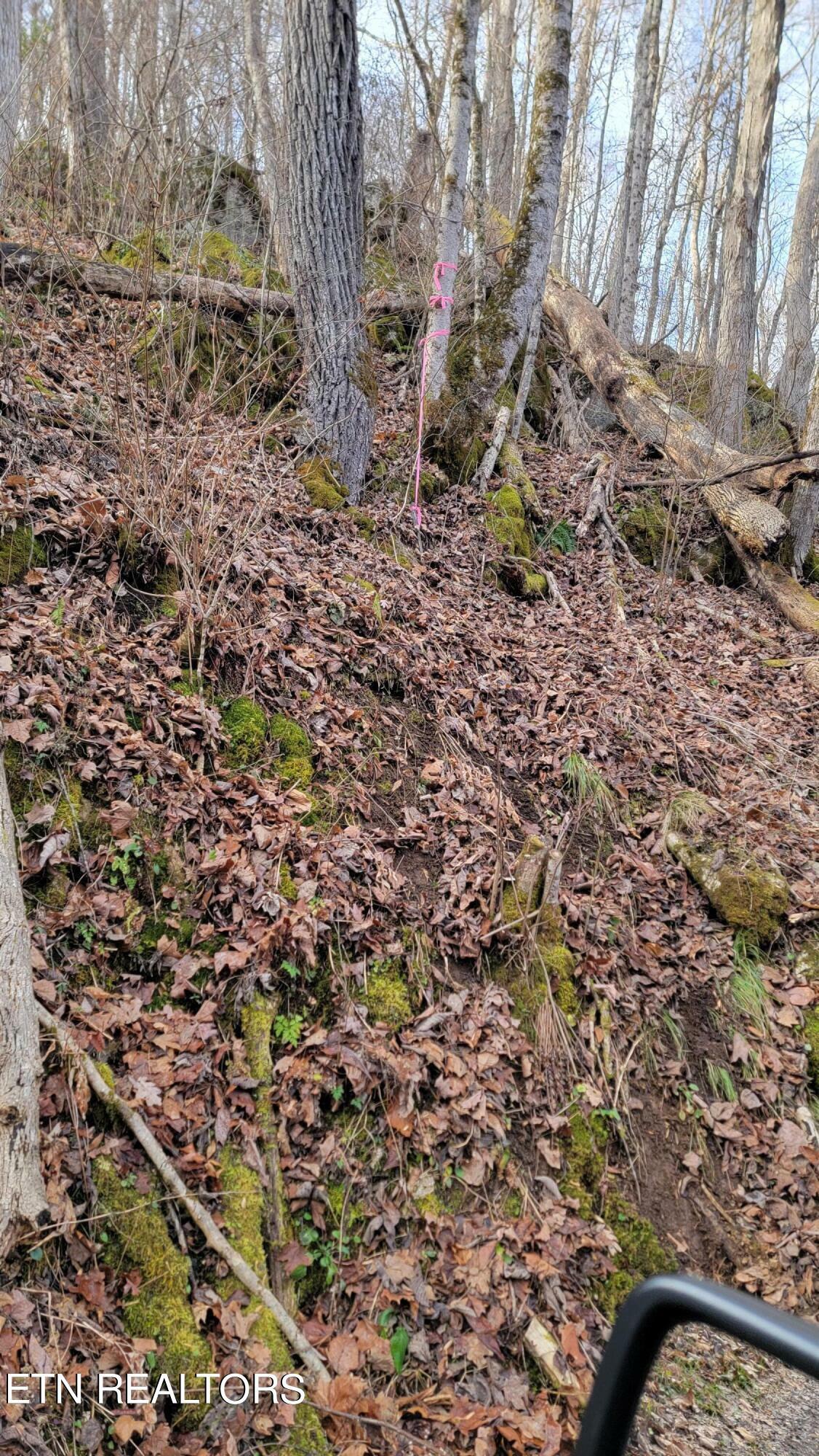 Property Photo: Lot 1 Lone Mountain Rd Rd TN 37825