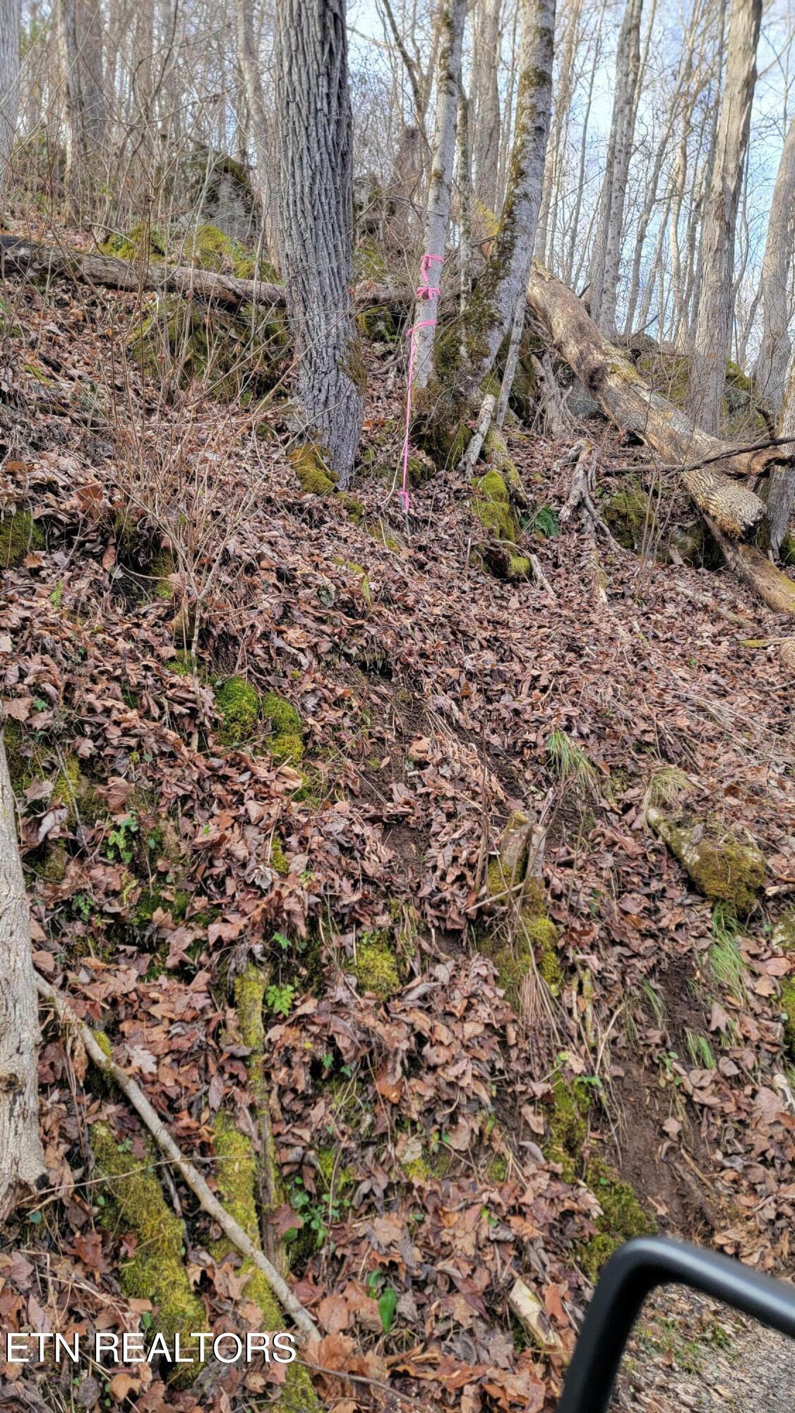 Property Photo:  Tract 4 Lone Mountain Rd Rd  TN 37825 