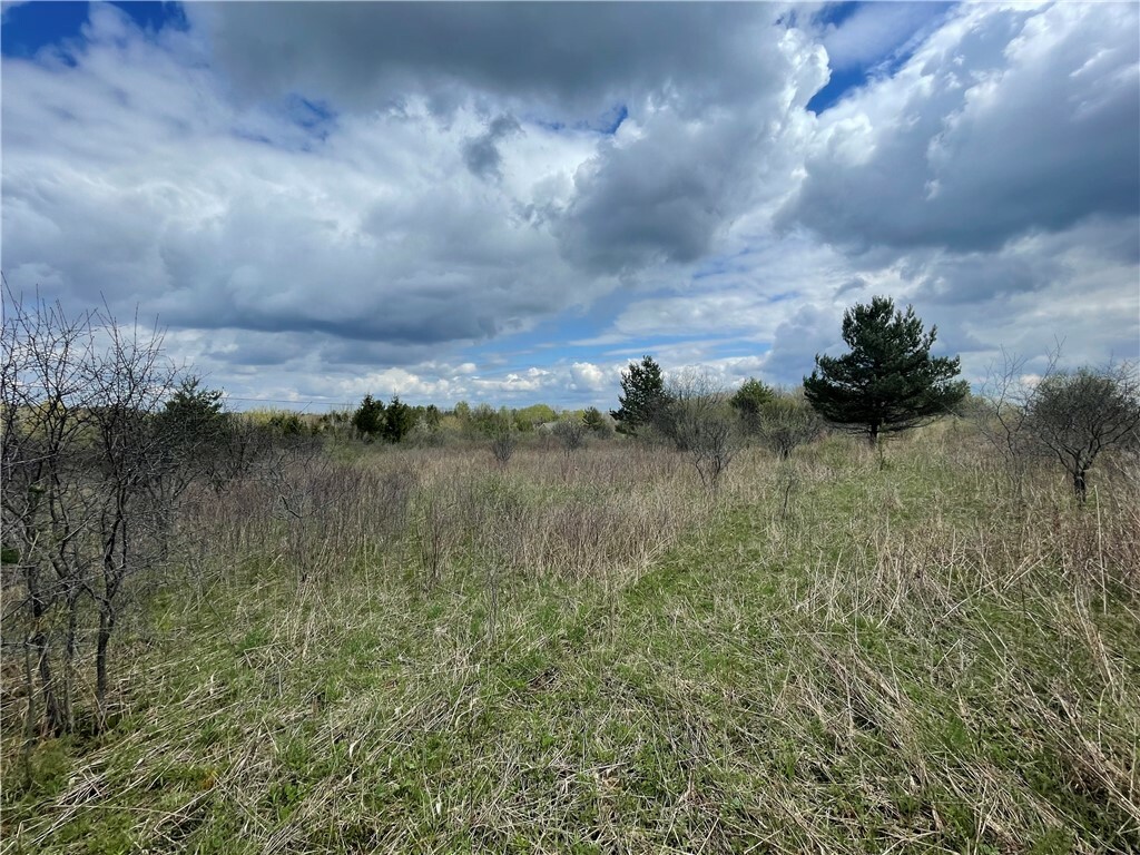 Property Photo:  0 Chicken Coop Road  NY 14886 