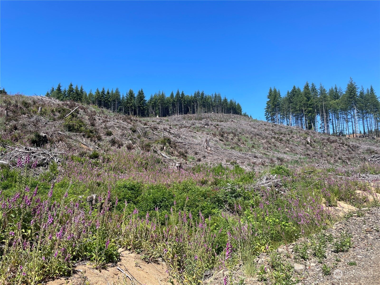 Property Photo:  0  Middle Valley Road  WA 98647 