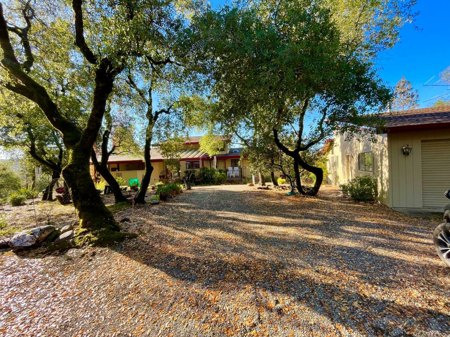 Property Photo:  9870 Sheep Ranch Road  CA 95246 