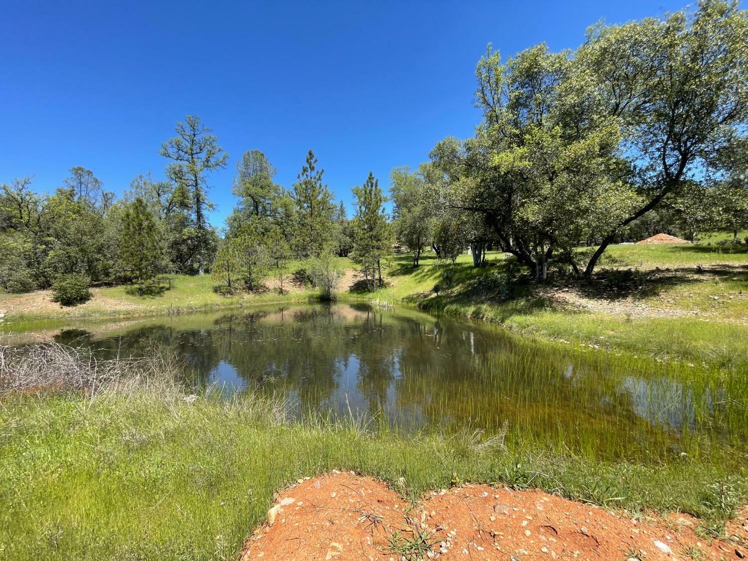 Property Photo:  9870 Sheep Ranch Road  CA 95246 