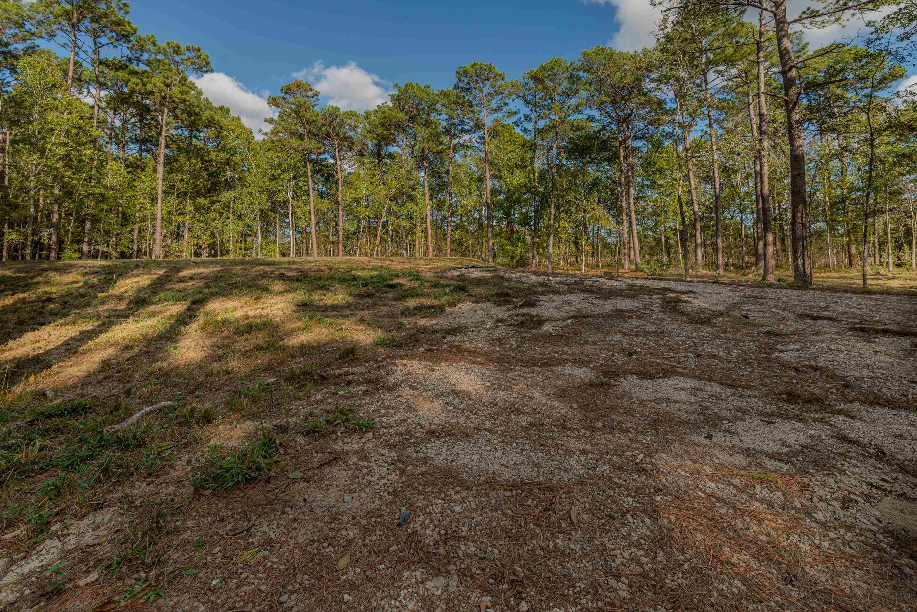 Property Photo:  14644 Craigen Road  TX 77705 