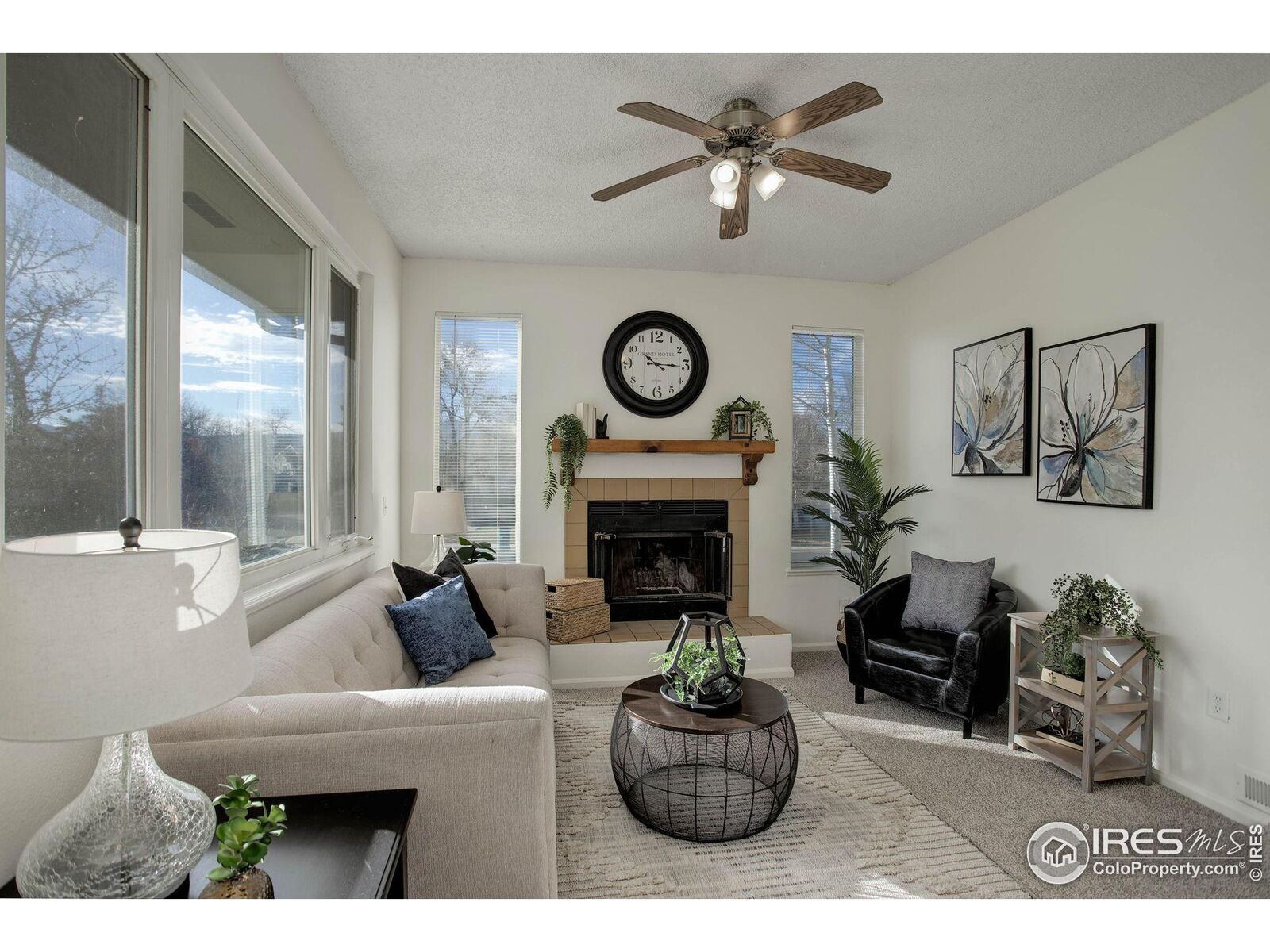 Property Photo:  2818 Trenton Way  CO 80526 