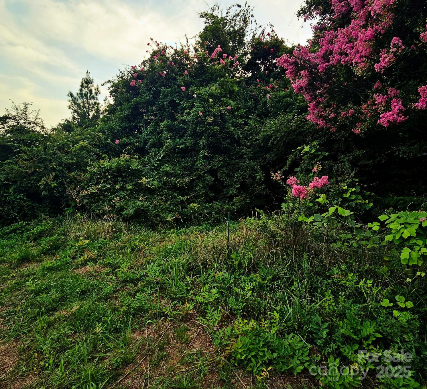 Property Photo: 823 Silver Creek Road NC 28756