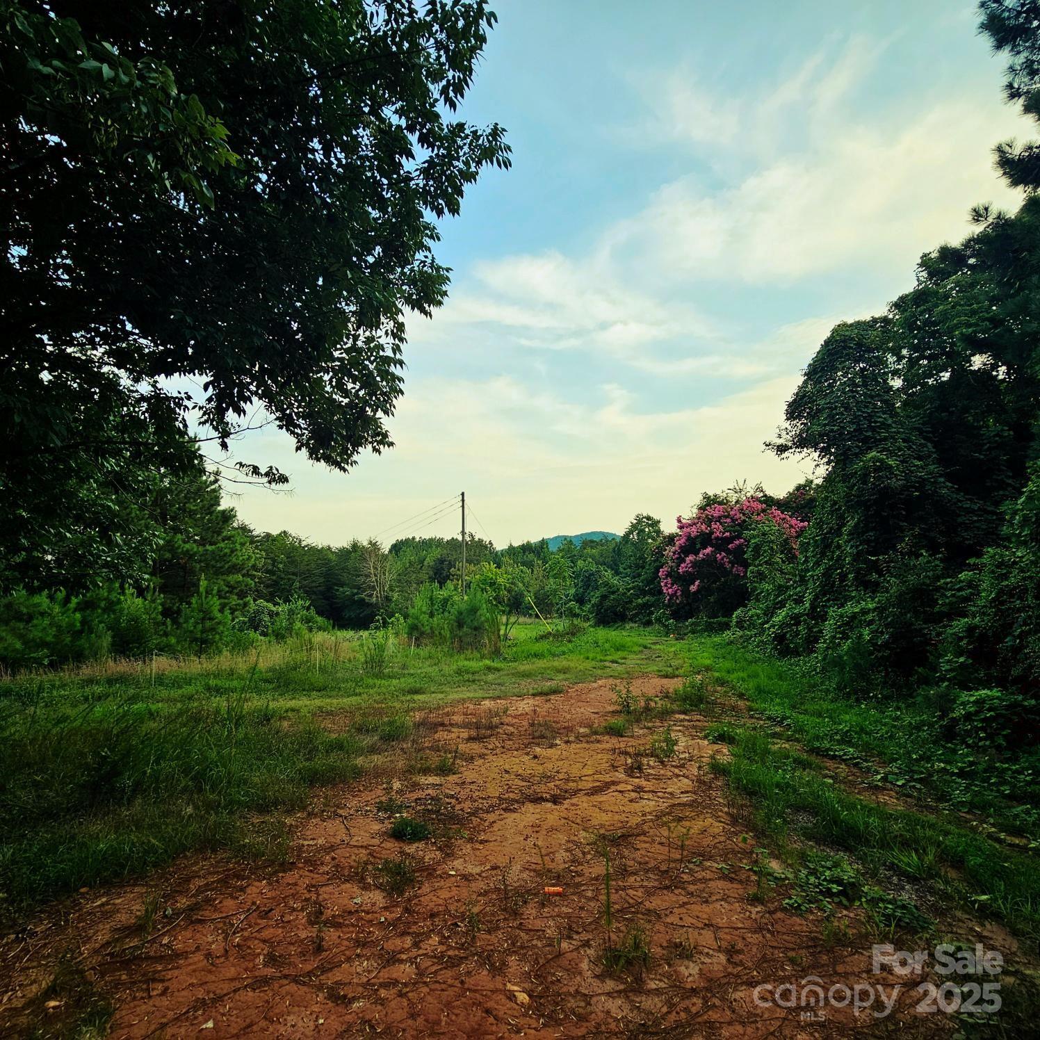 Property Photo: 823 Silver Creek Road NC 28756
