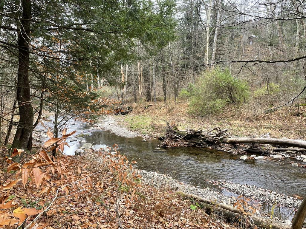 Property Photo:  0 Mosier Road  PA 18853 