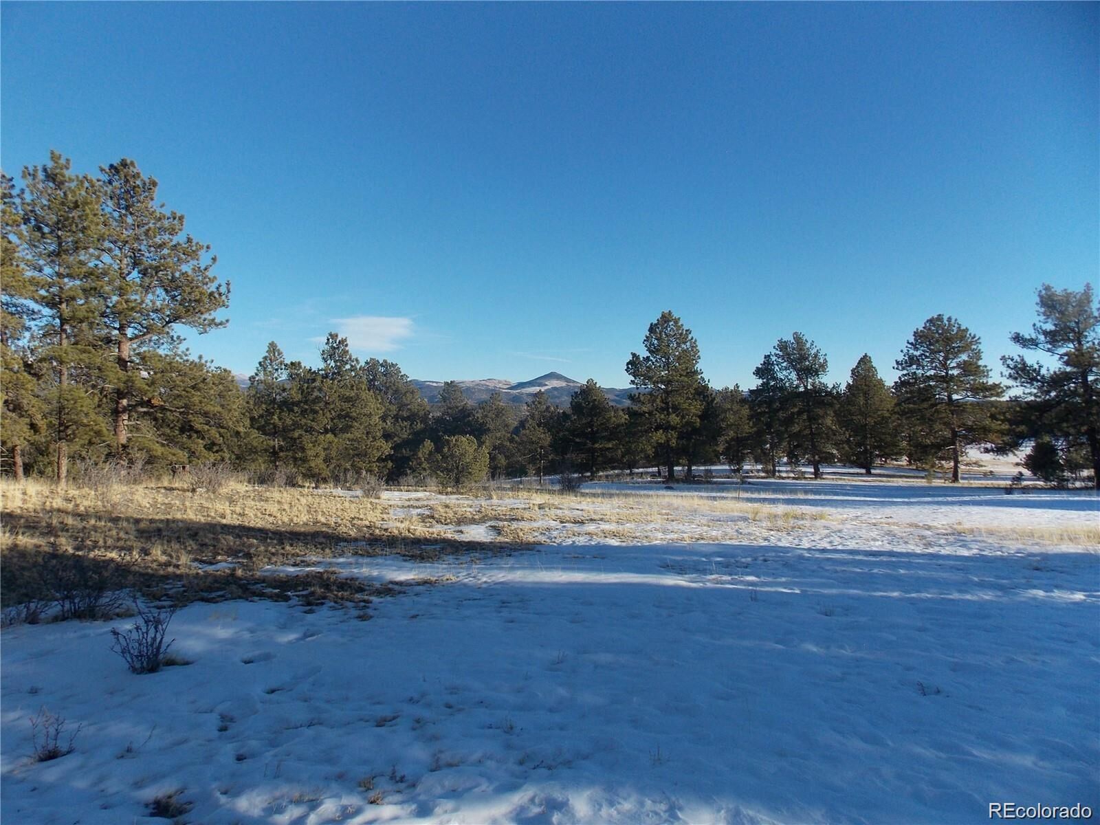 Property Photo: 0 Twinkle Rd CO 80820