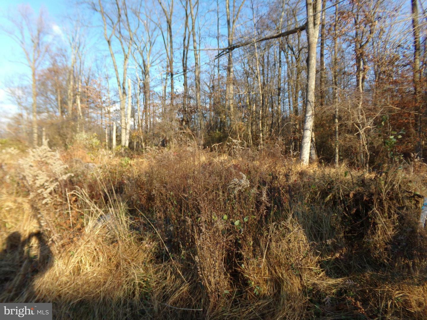 Property Photo:  0 Center Hill Road  PA 18921 