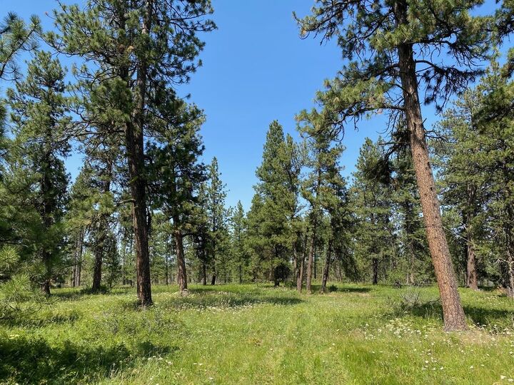 MLS202325120 Nna Cloverland Rd, Other, WA 99402