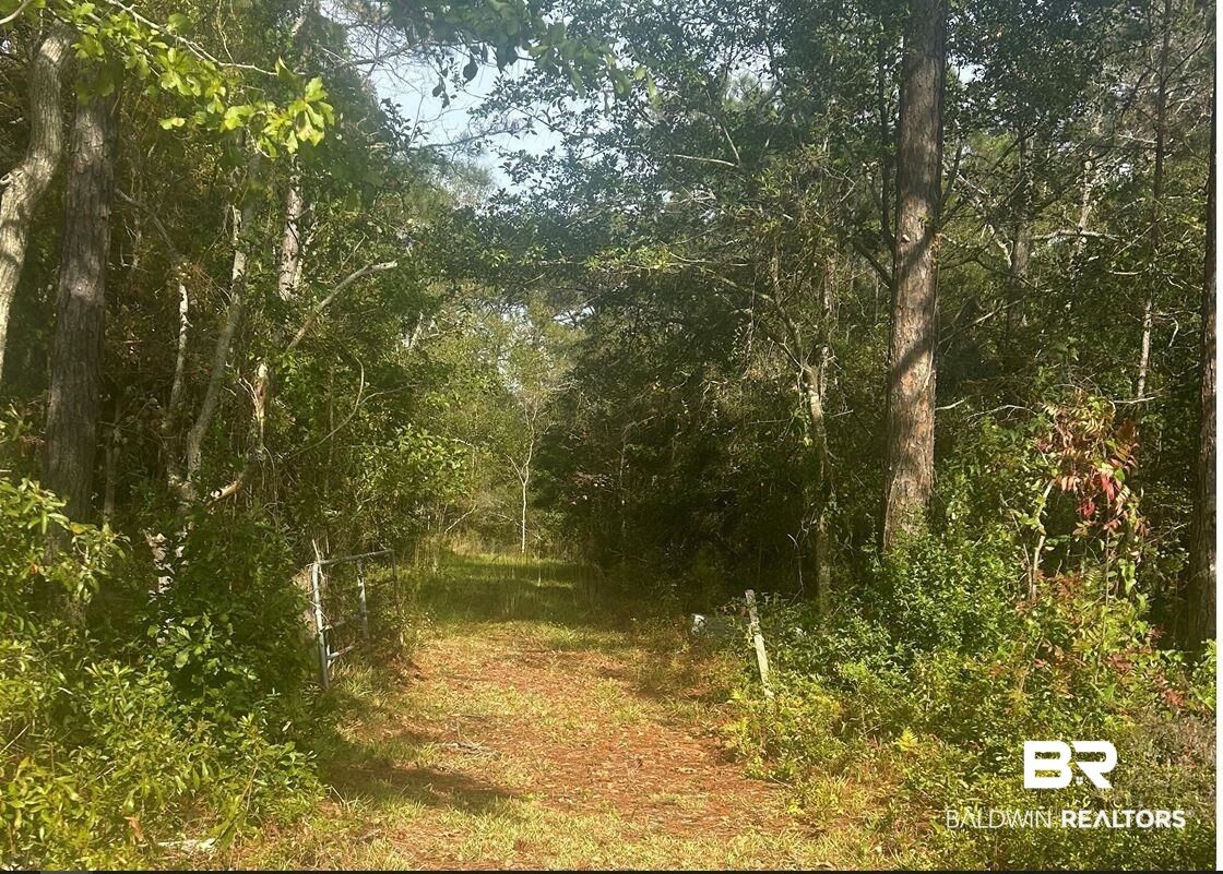 Property Photo: 0 County Road 1 AL 36532-3653
