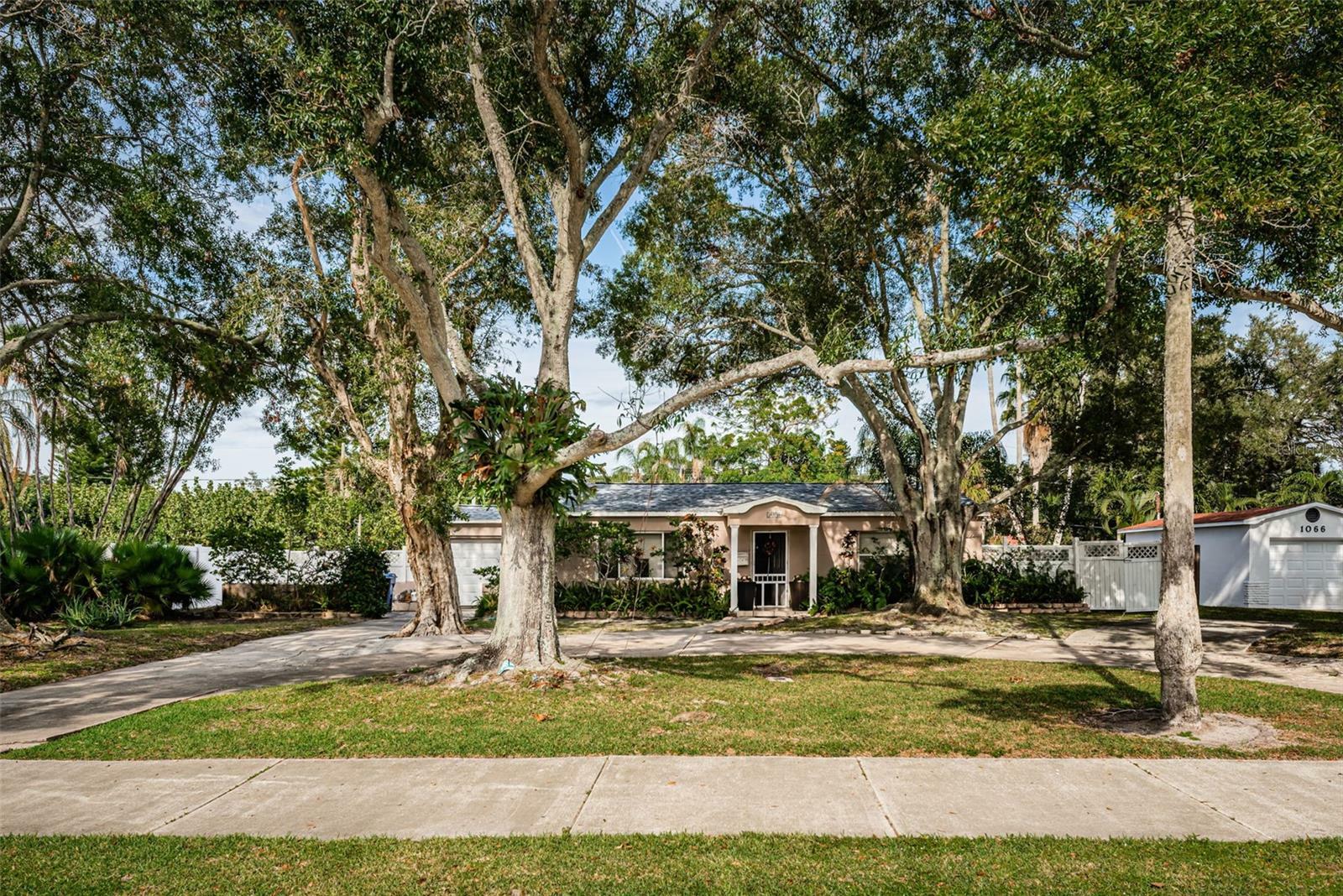 Property Photo:  1056 Snell Isle Boulevard NE  FL 33704 