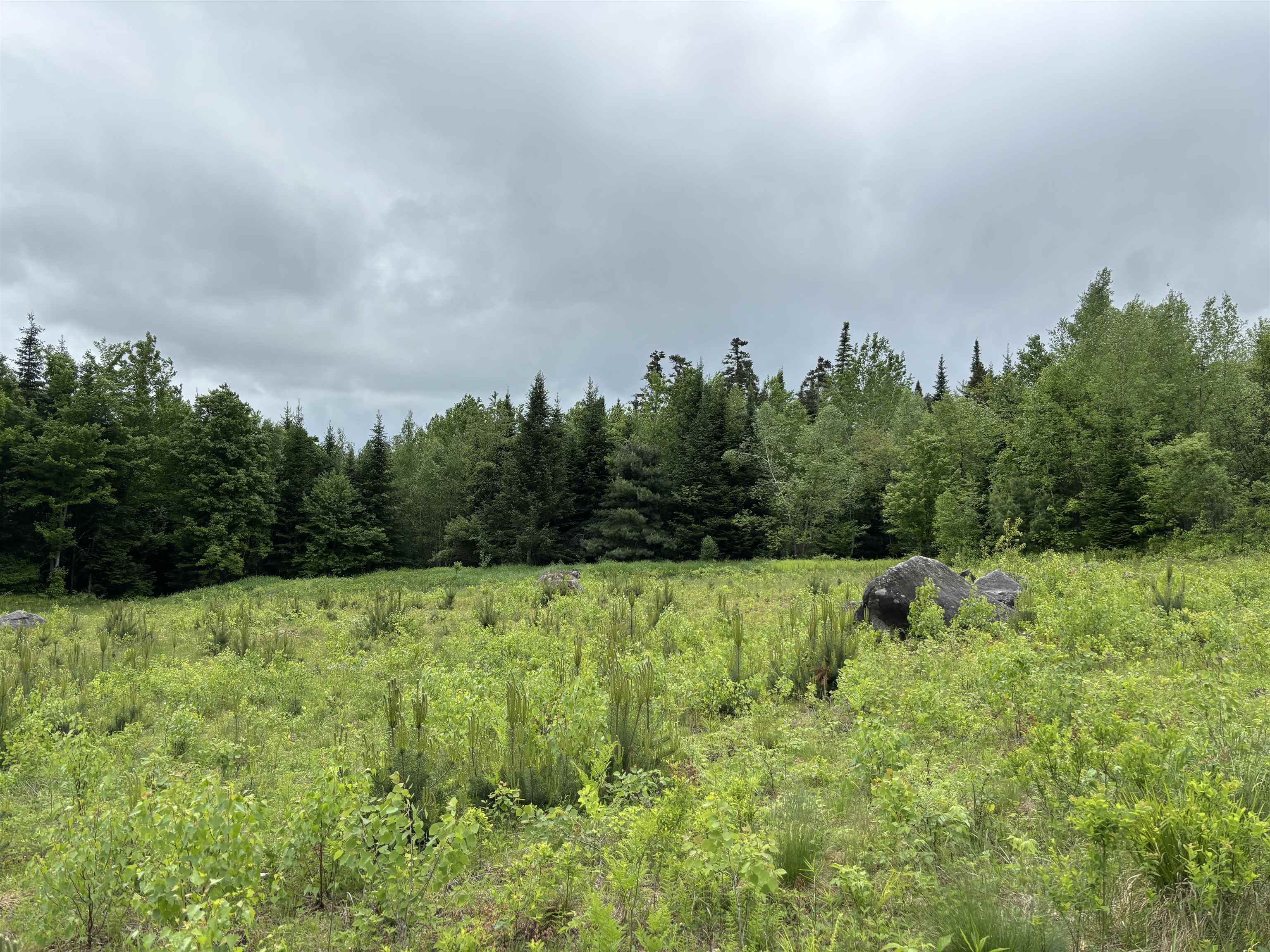 Property Photo:  000 Powder Springs Road  VT 05046 