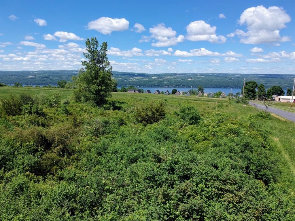 Property Photo:  0 Mathews (Lot A West) Road  NY 14841 