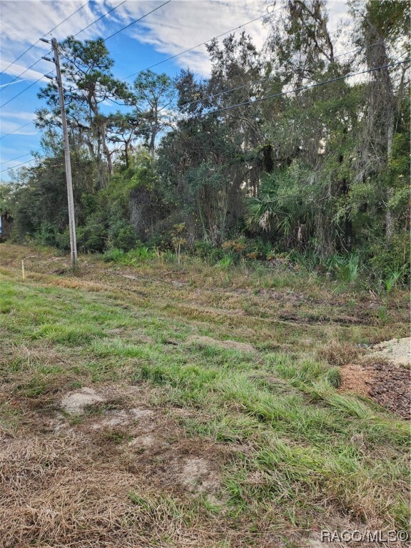 Property Photo:  5274 & 5306 N Suncoast Boulevard  FL 34428 