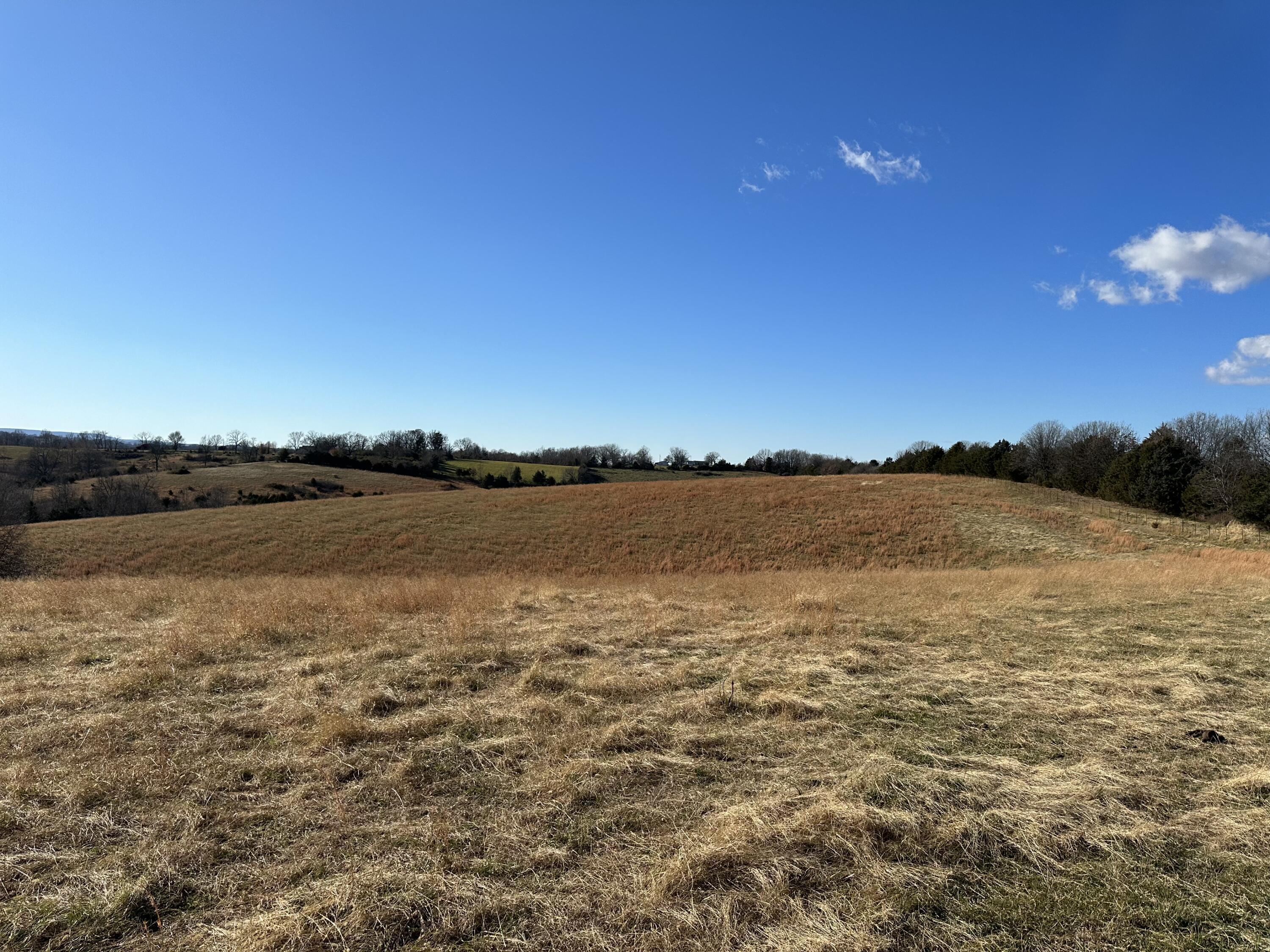 Property Photo:  Mill Hollow Road  AR 72601 