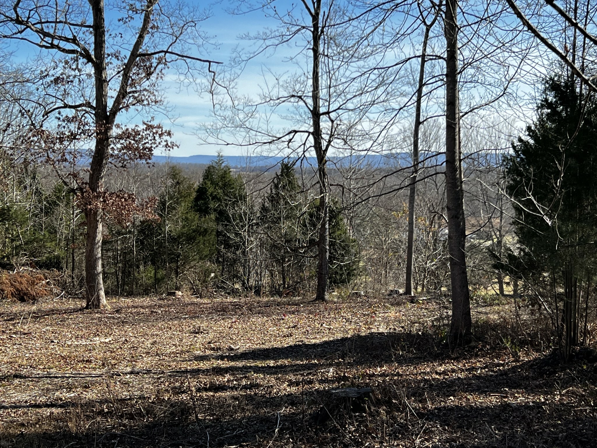 Property Photo:  7799 McMinnville Hwy  TN 37355 