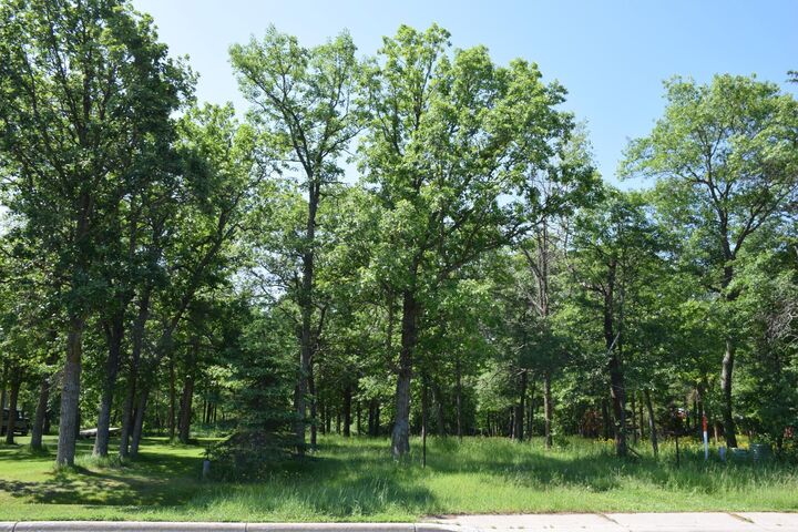 Property Photo:  Tbd Power Dam Road NE  MN 56601 