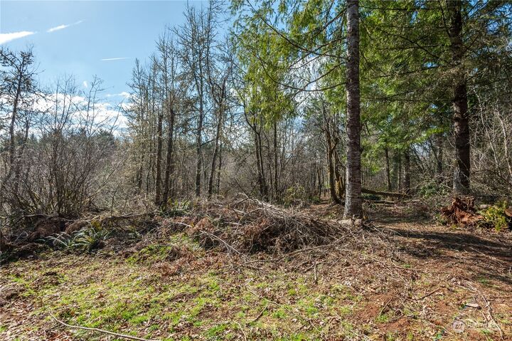 Property Photo: 133 Silverthistle Road WA 98596