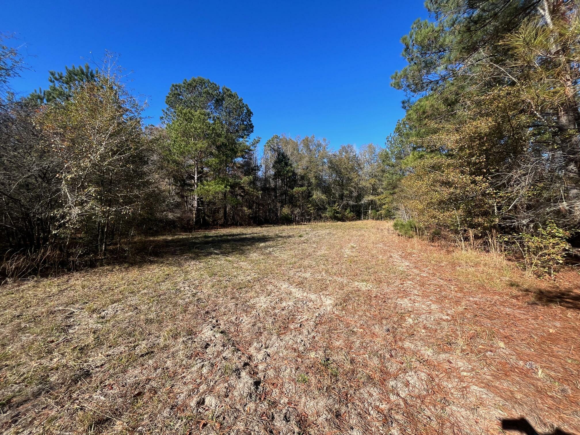 Property Photo:  Tbd Bent Gate Lane  SC 29481 