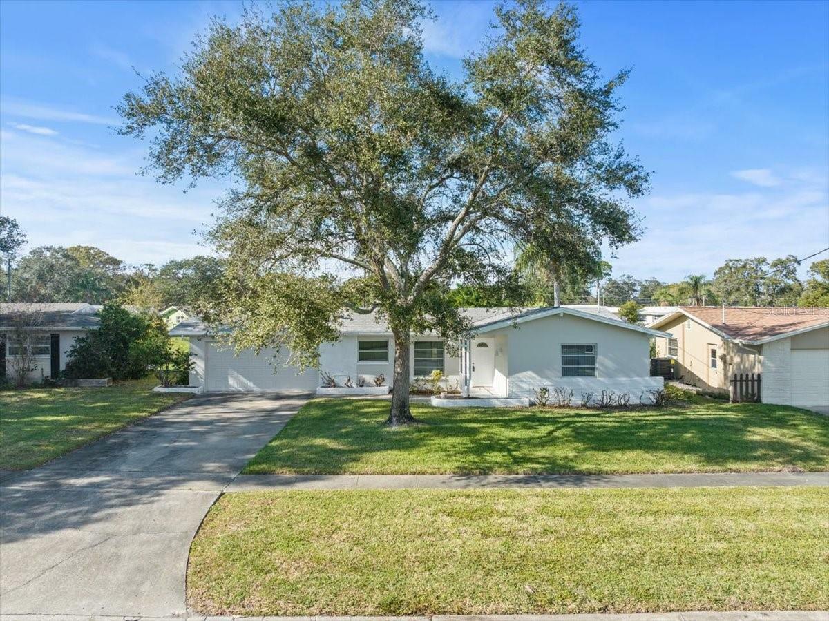 Property Photo:  656 Gershwin Drive  FL 33771 