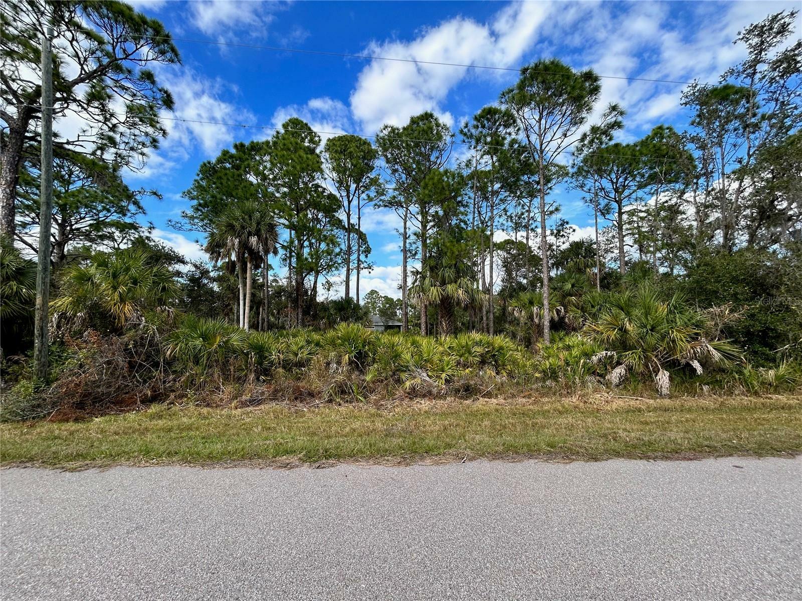 Property Photo:  14104 Carrie Avenue  FL 33953 