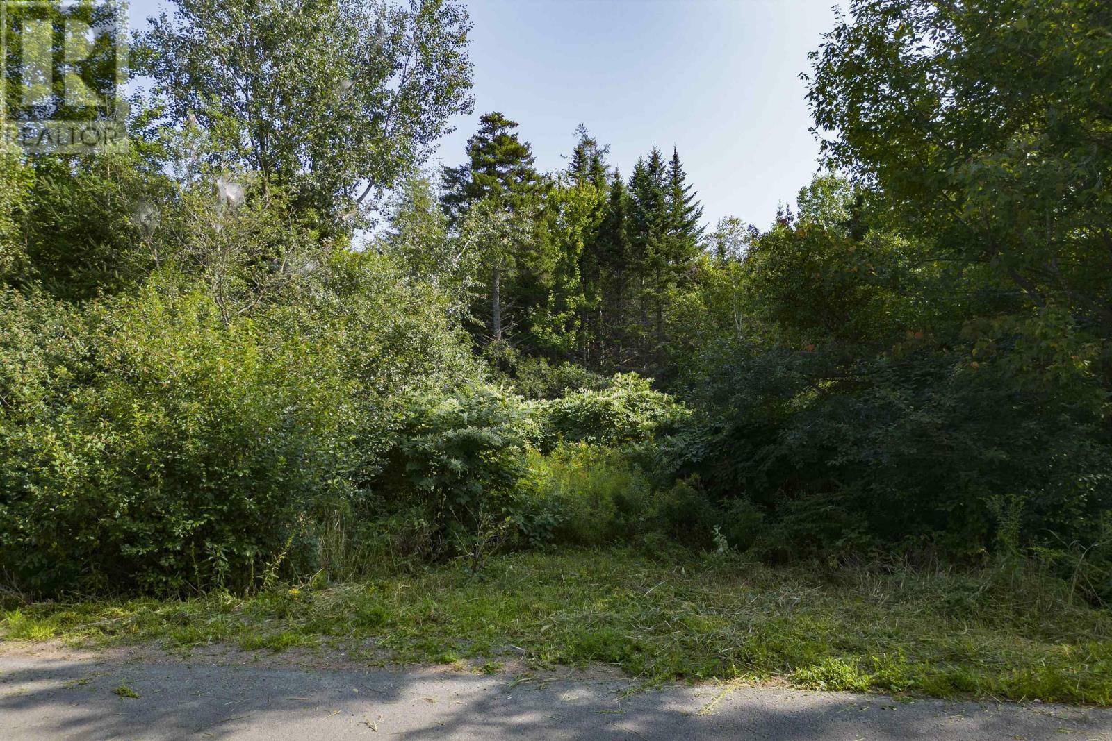 Property Photo:  642 Mines Road  NS B0L 1B0 