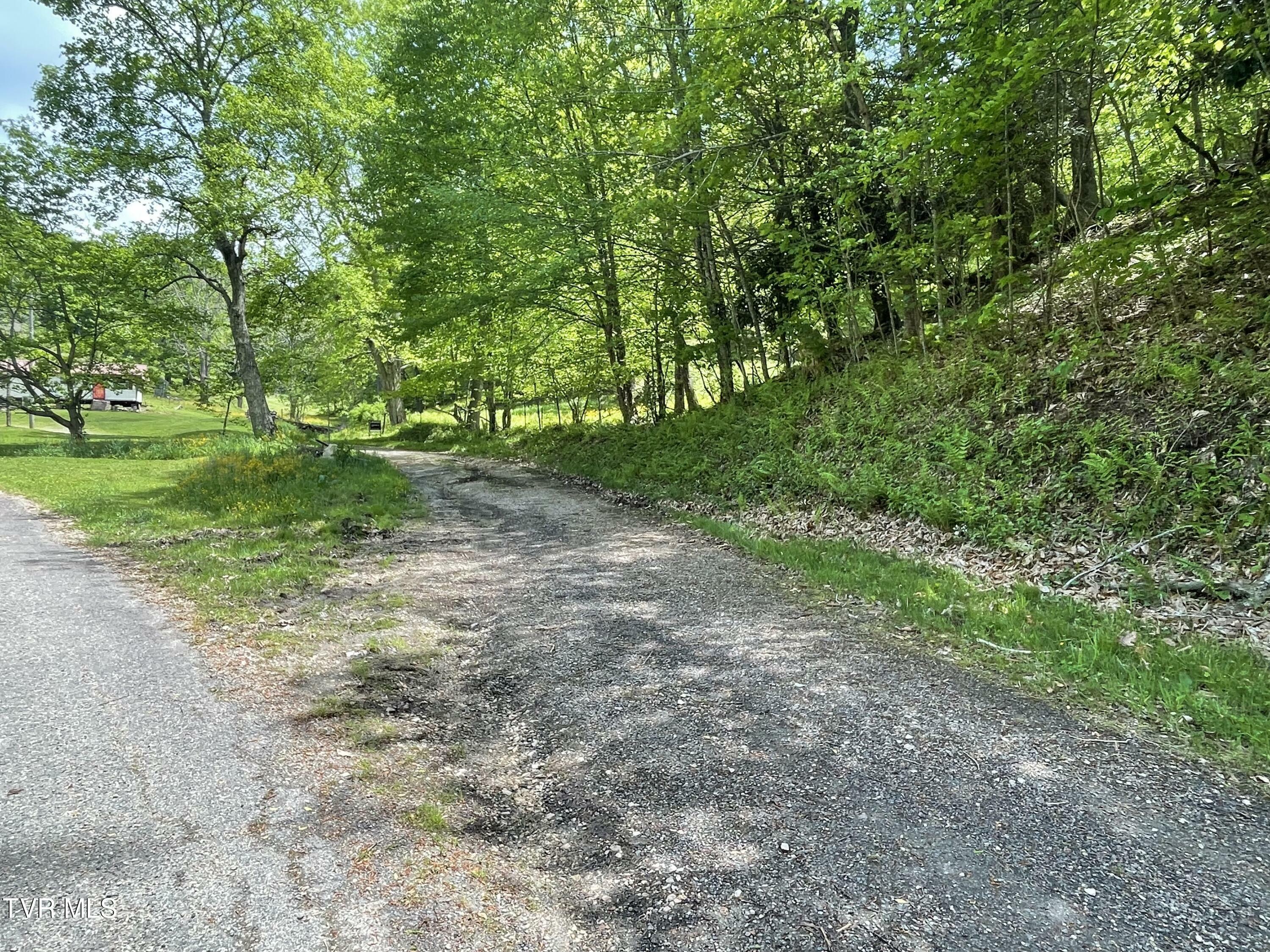 Property Photo:  Tract 5 Greer Road  TN 37691 