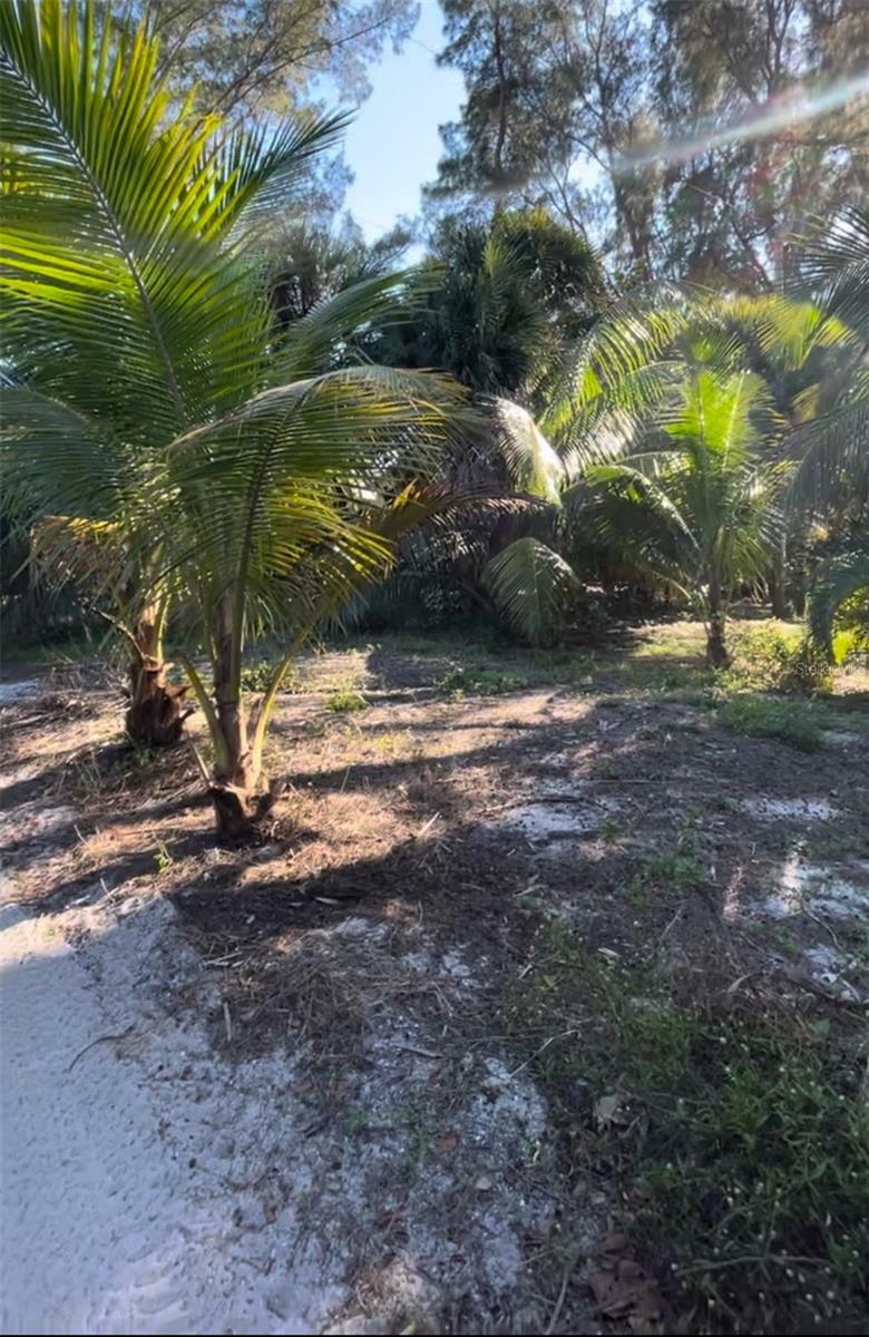 8508 Little Gasparilla Island  Placida FL 33946 photo