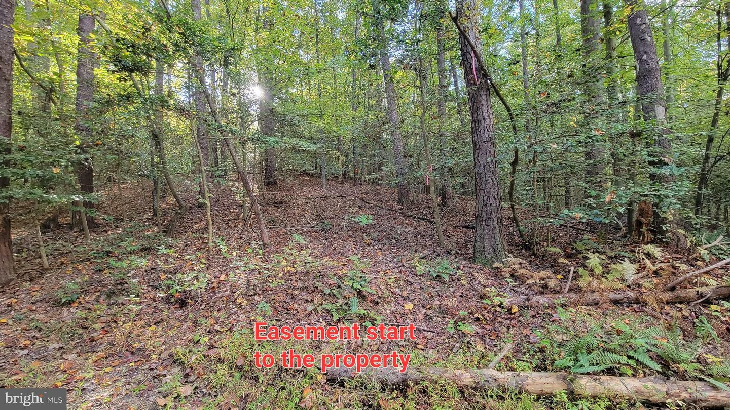 Property Photo: 36641 Knotts Lane MD 20659