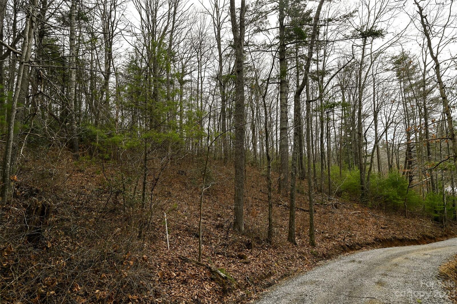 Property Photo:  Tbd Wykle Road  NC 28805 