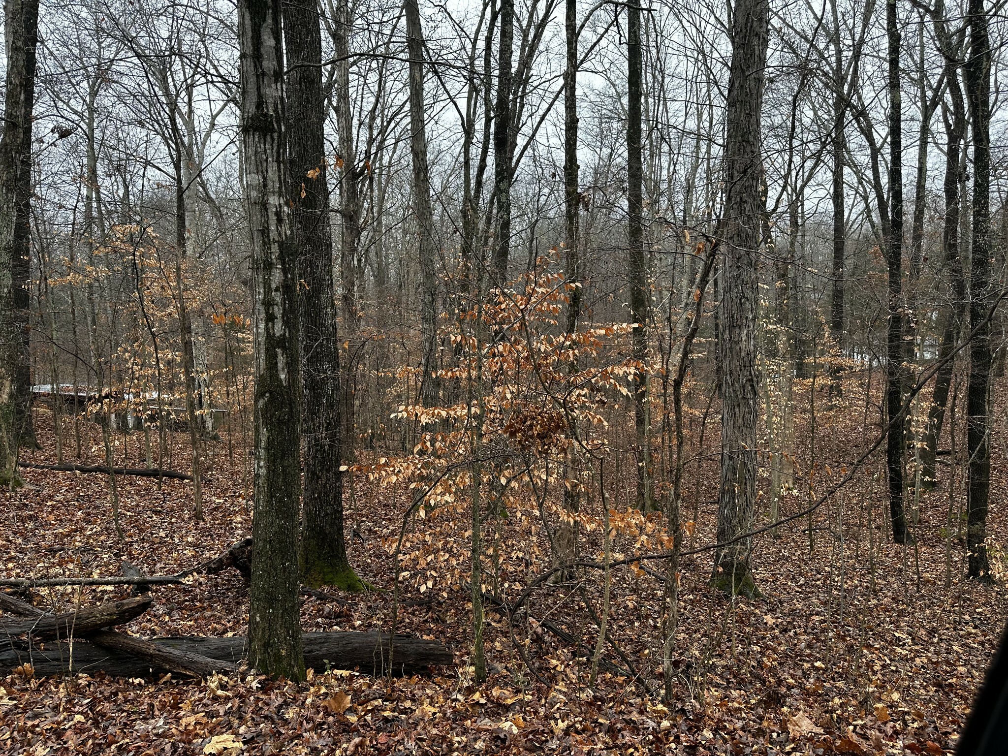 Property Photo:  0 Glen Cove Rd  TN 37028 