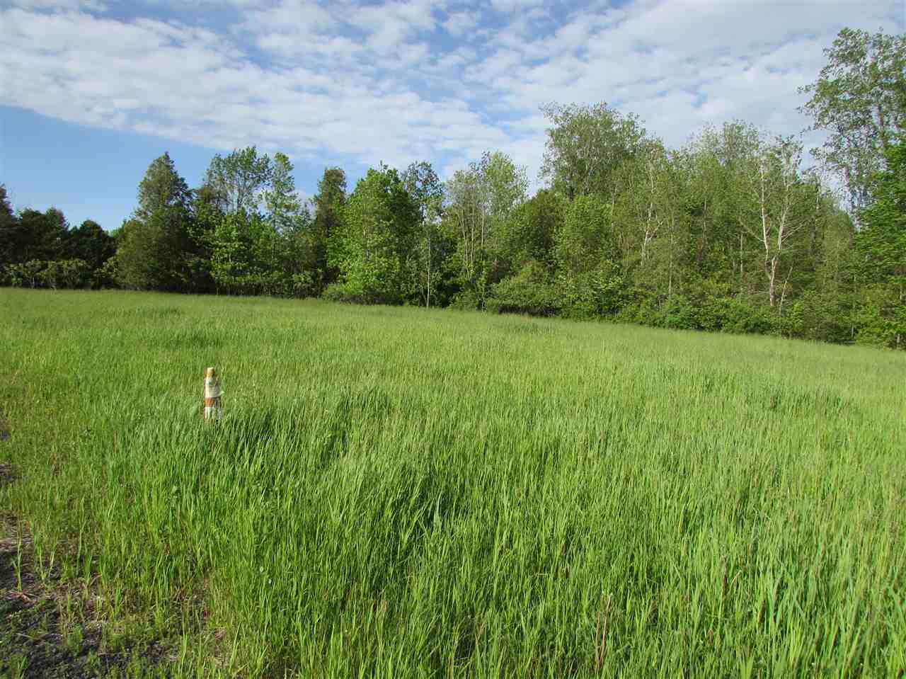 Property Photo:  School Street  VT 05463 