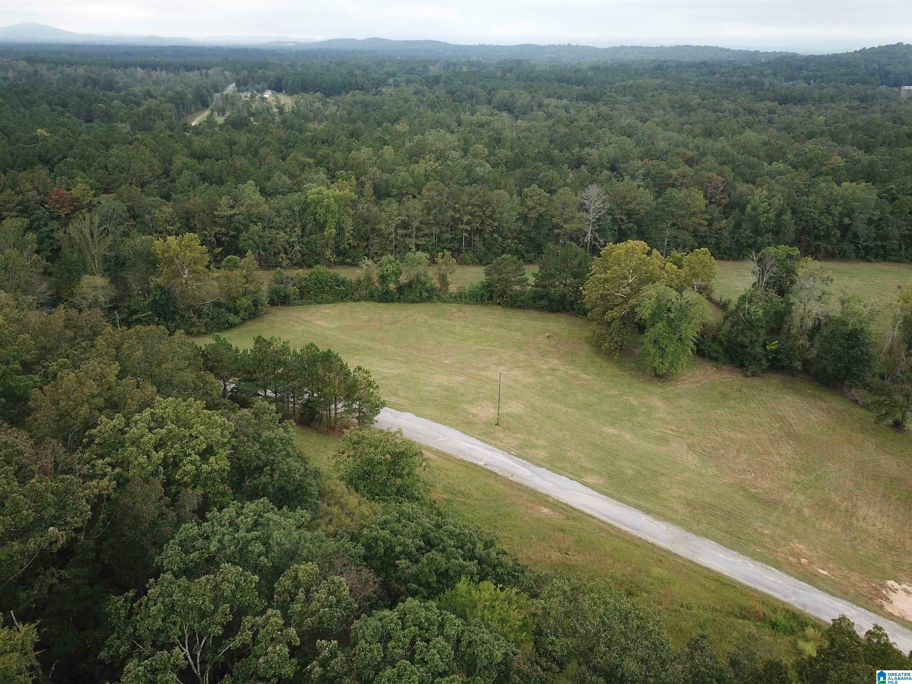 Property Photo:  1 Poplar Springs Trail 0  AL 35953 