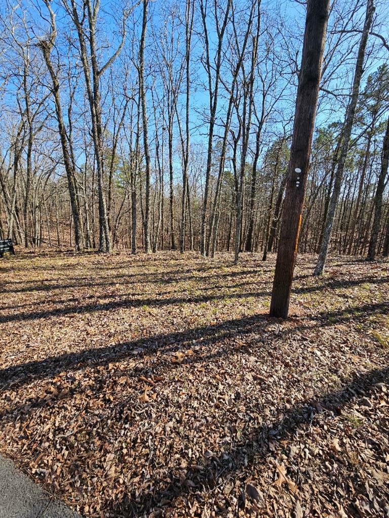 Property Photo:  Blk 03 Lot 05 Mountain Ridge Drive  GA 31831 