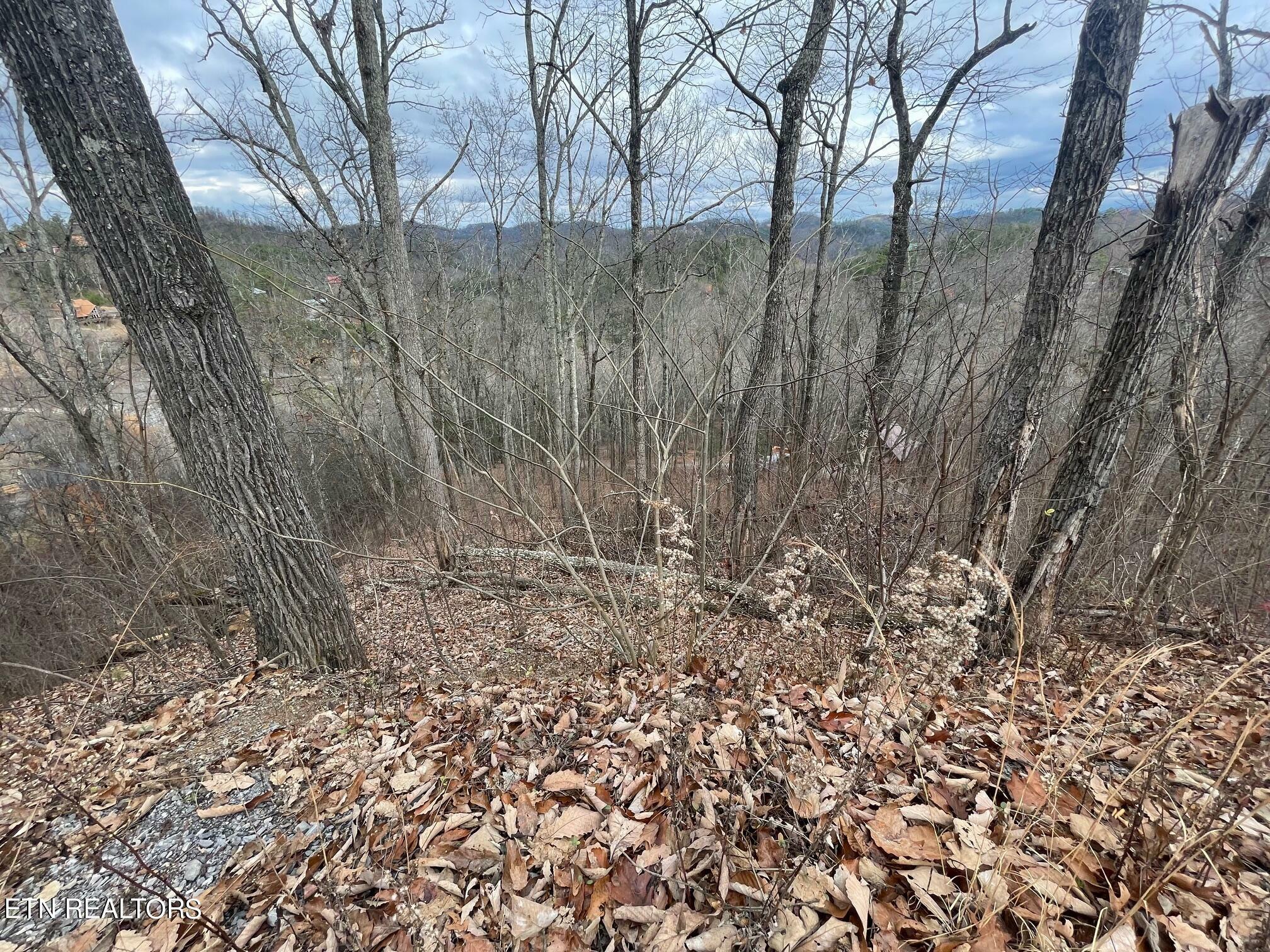 Property Photo:  Lot 99 Dolly South Drive  TN 37876 