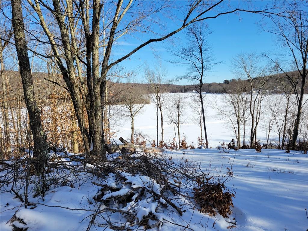 Lot 28.2 Shore Road  Swan Lake NY 12783 photo