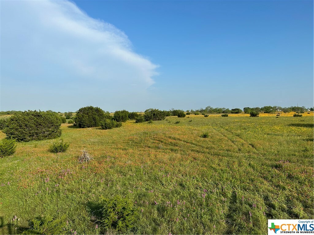 Property Photo:  1683 County Road 533  TX 76880 