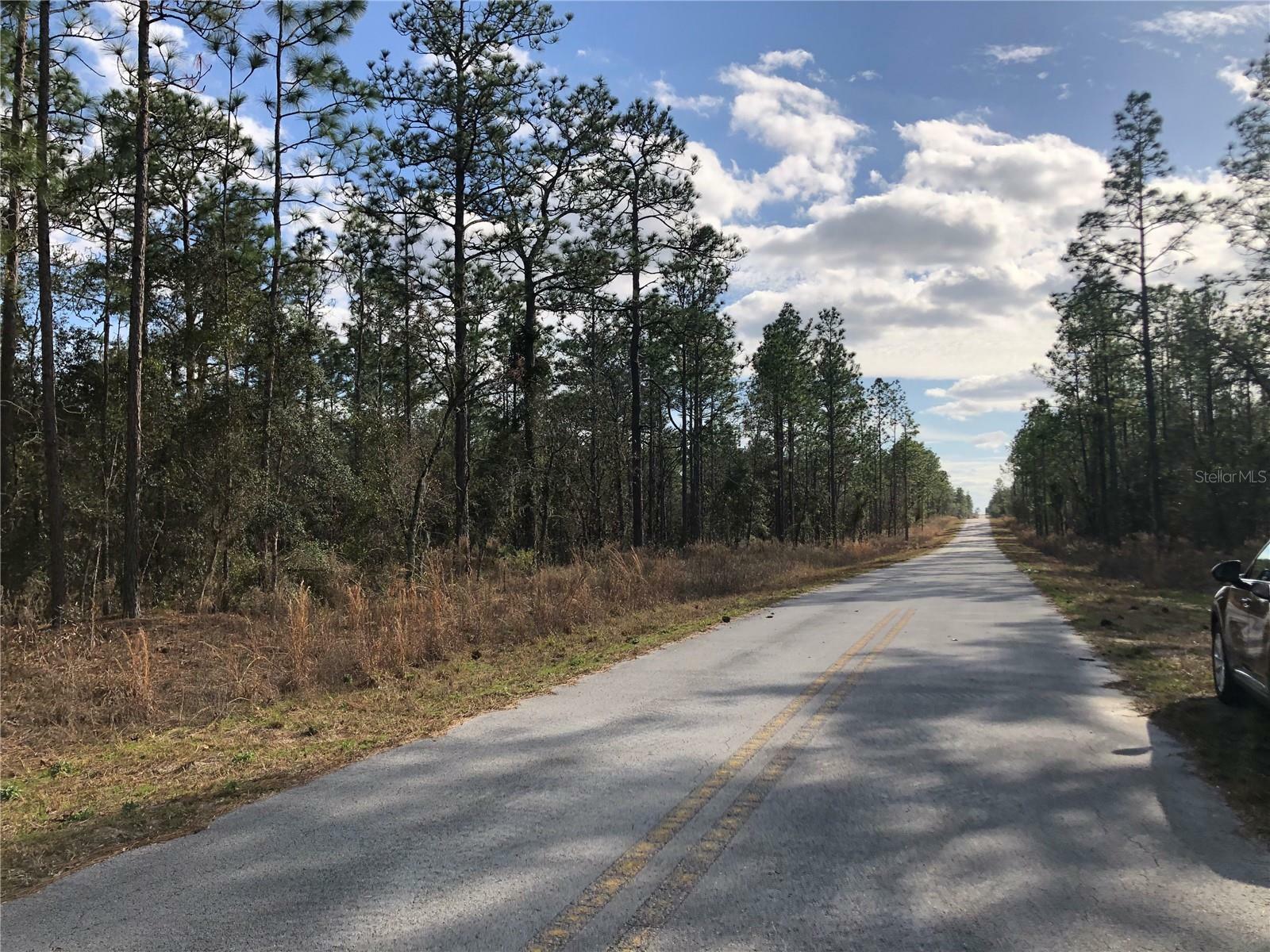 Property Photo:  Lot 57 Alvarez Road  FL 34431 