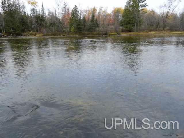 Property Photo:  297 Acres Old M69  MI 49920 