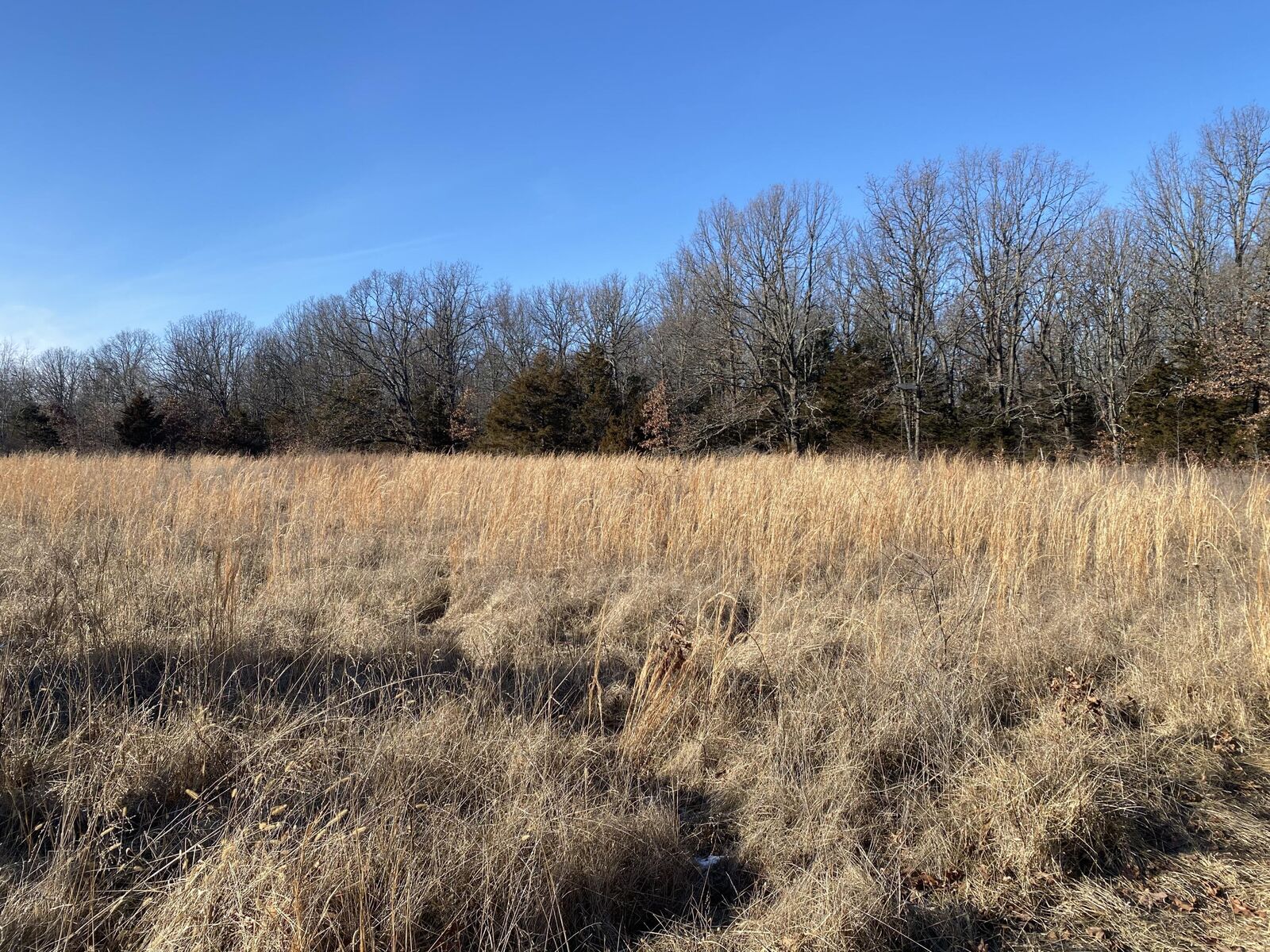 Property Photo: 756 State Highway M MO 65713