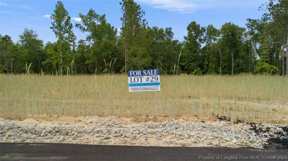 Property Photo:  Lot 29 Mabon Court  NC 28312 