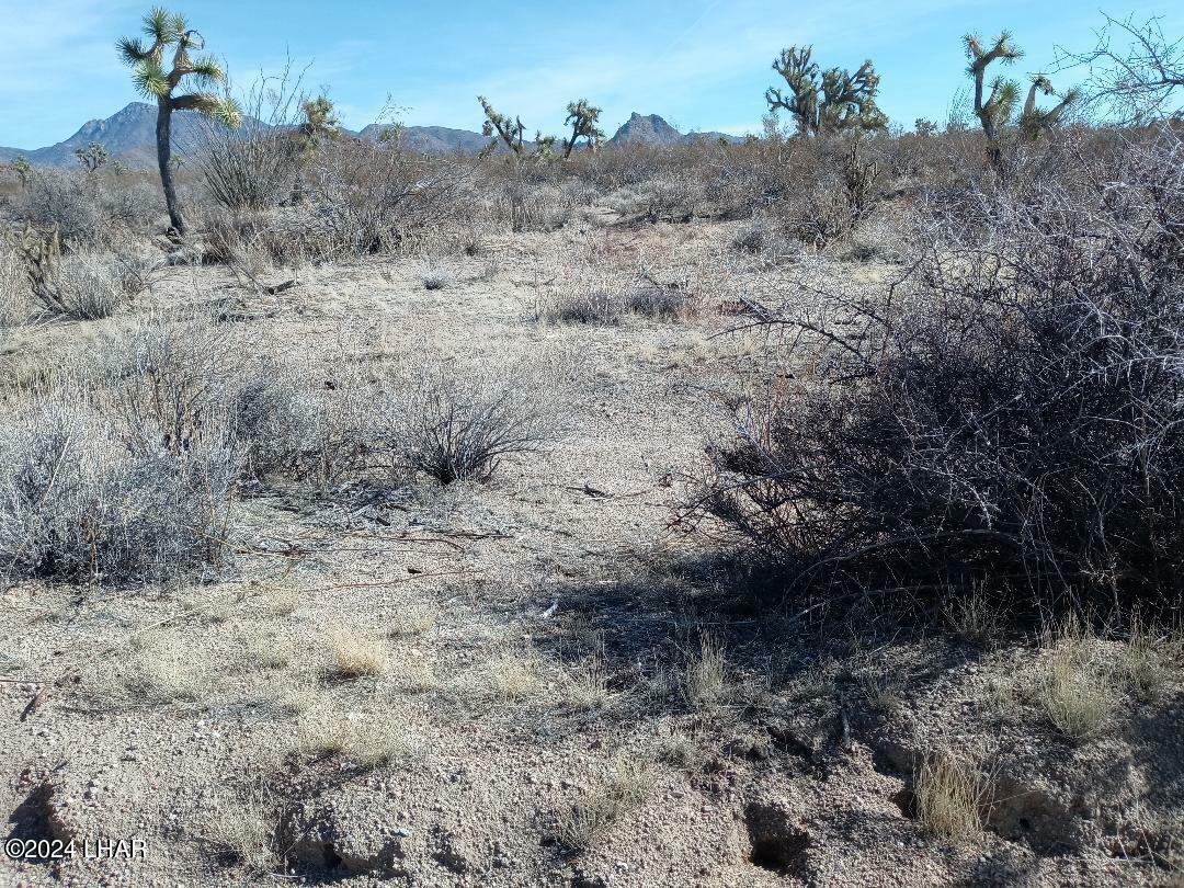 Property Photo: Parcel 439 S Tom Mix Road AZ 86438