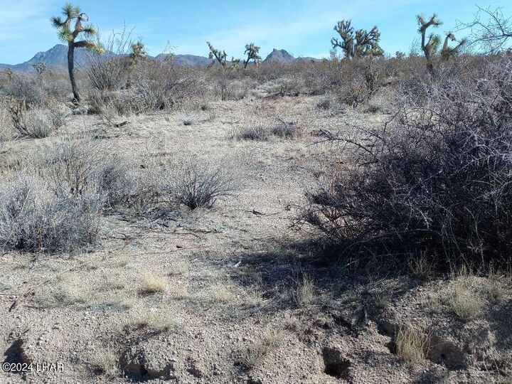 Property Photo:  Parcel 439 S Tom Mix Road  AZ 86438 