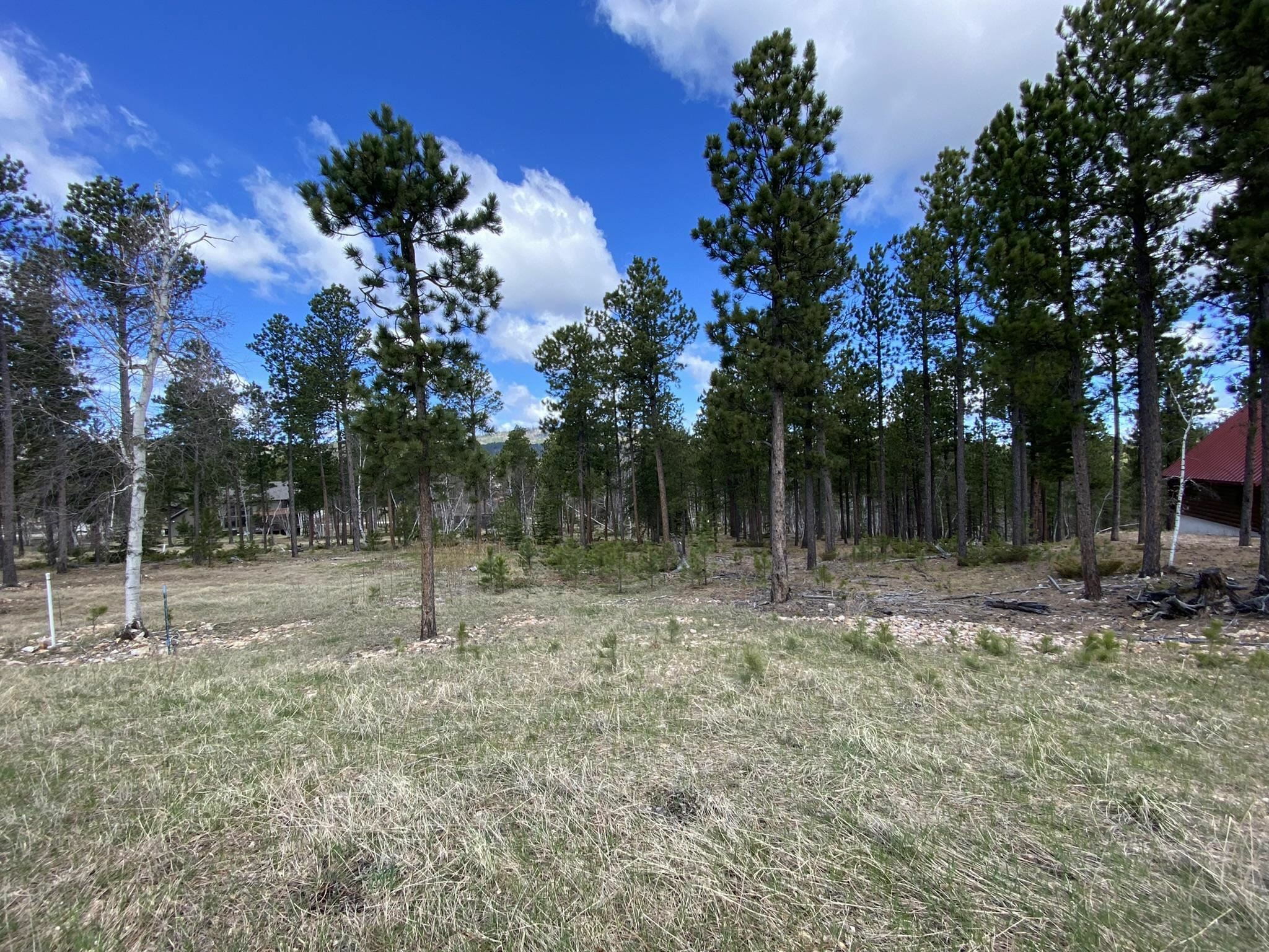 Property Photo:  Lot 12 Sugarloaf Court  SD 57754 